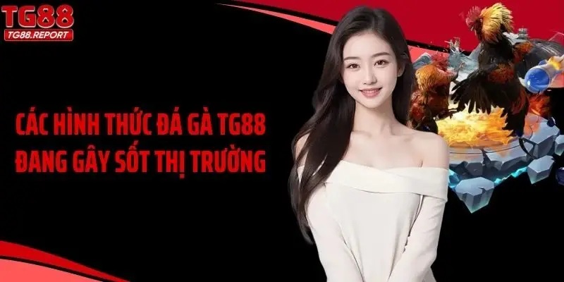 Các hình thức đá gà TG88 đang gây sốt thị trường