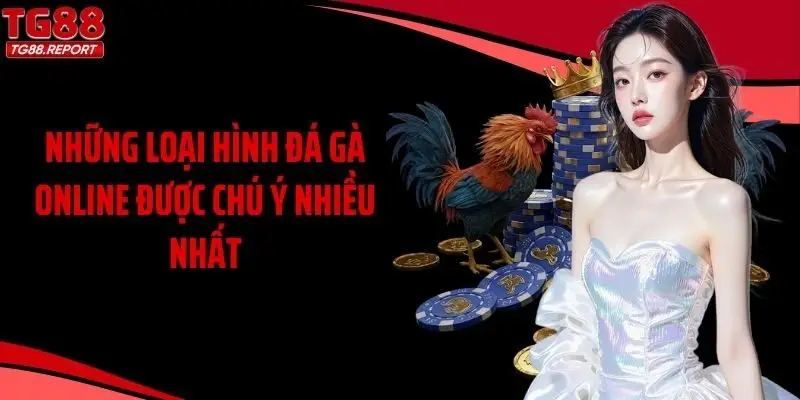 Những loại hình đá gà online được chú ý nhiều nhất