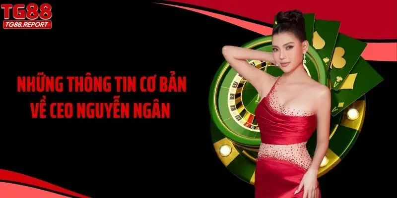 Những thông tin cơ bản về CEO Nguyễn Ngân 